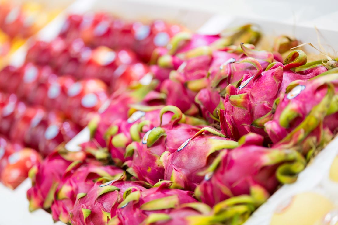 ASIA FRUIT LOGISTICA 2019