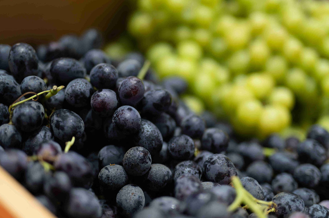 ASIA FRUIT LOGISTICA 2022