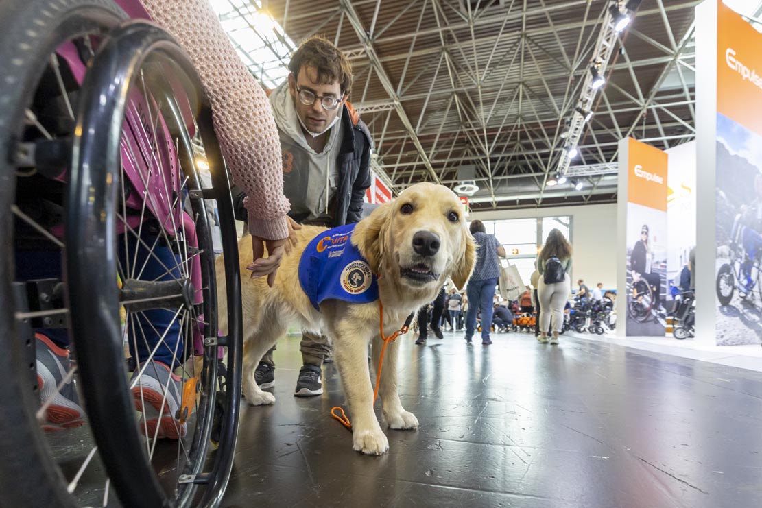 REHACARE 2022（国際リハビリテーション・福祉・介護機材展）