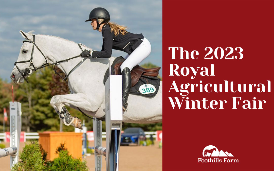 The Royal Agricultural Winter Fair（トロント農業フェア）2023